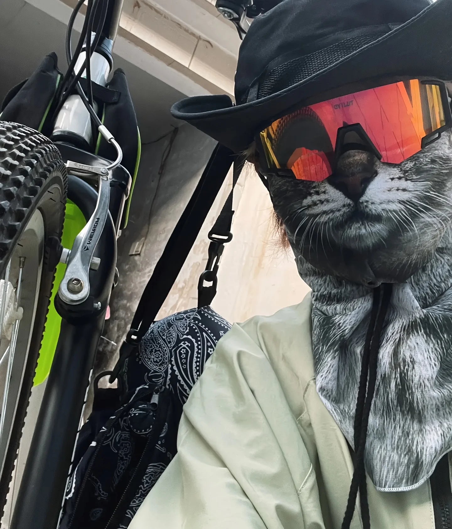 Cat Print Face & Neck Protector